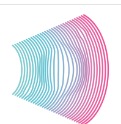 Pearl Diagnostics - 3D/4D Sonography Center | NT Scan | Anomaly Scan | Growth Scan | Color Doppler | 3D/4D Ultrasound Center